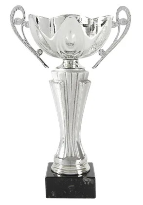 Trofeo copa plata asas finas