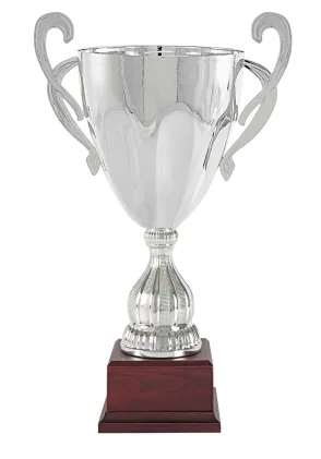 Trofeo copa asas plata
