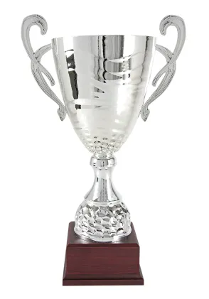 Trofeo copa cono raya plata asas