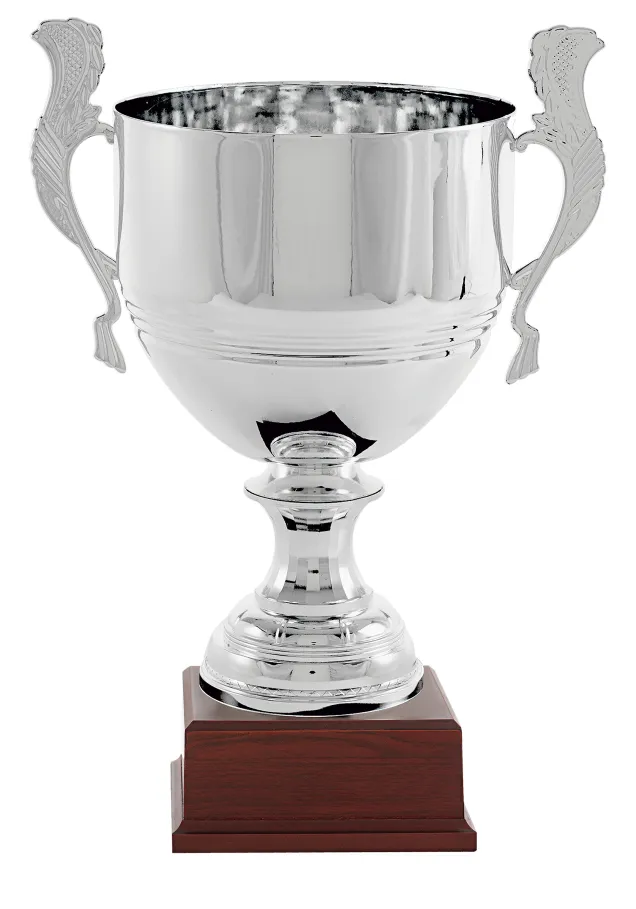 Trofeo copa vaso rayas plata
