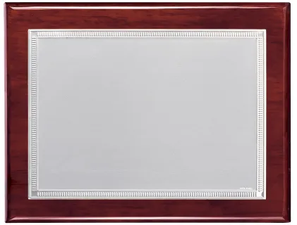 Placa homenaje bañado en plata forma rectangular y marco labrado