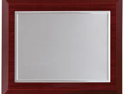 Placa homenaje comercial rectangular aluminio biselado