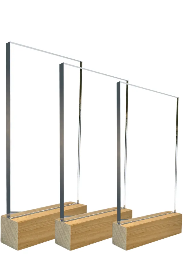 Trofeos de Acrílico y Madera – En 3 en Diferentes Tamaños
