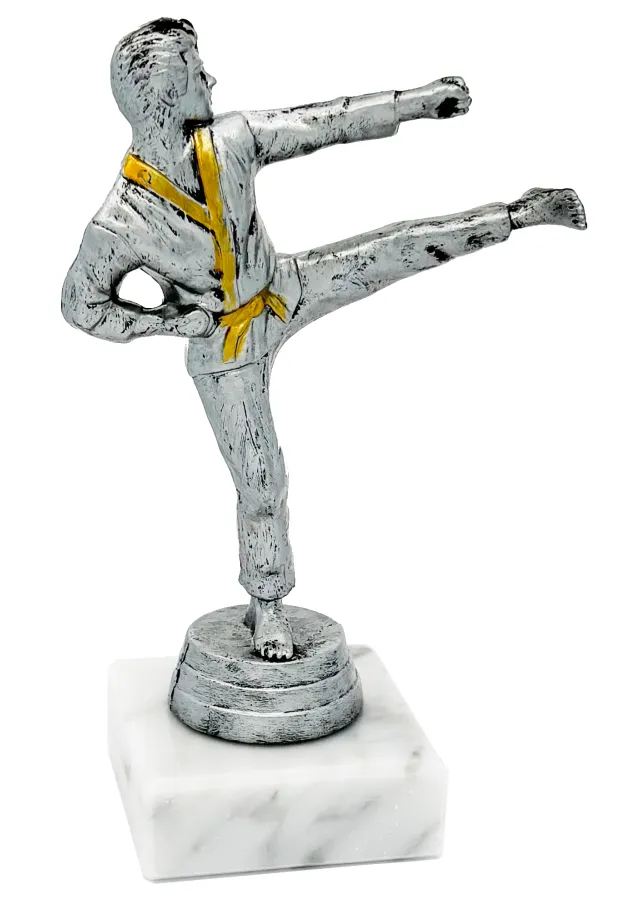 🏆 Trofeo de Artes Marciales – Premio para Competencias de Karate y Taekwondo