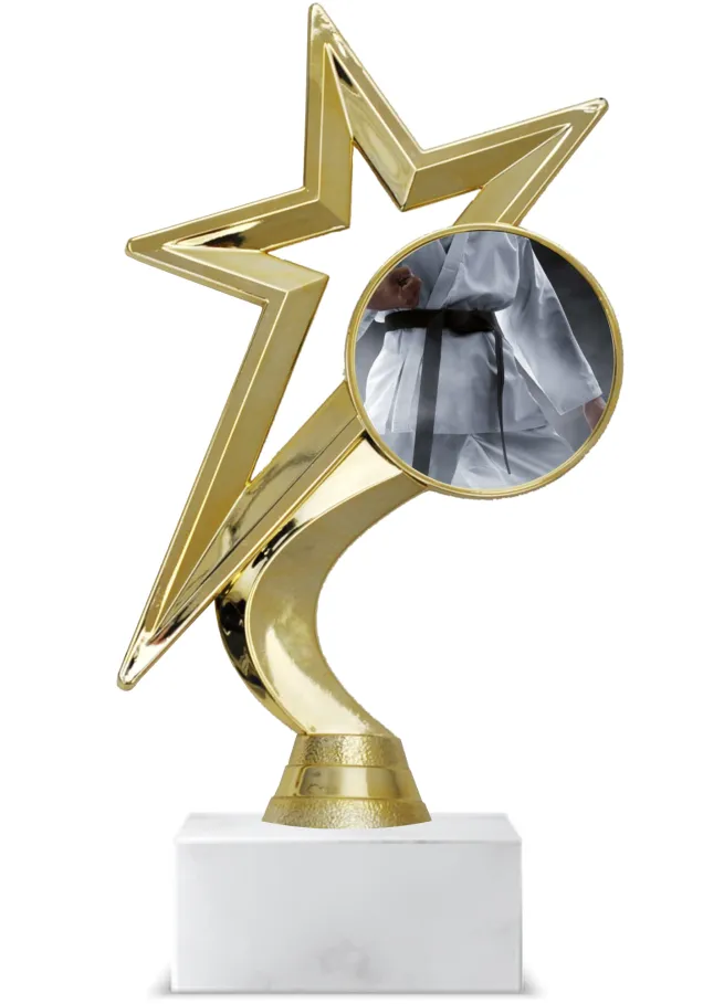 Trofeo de Karate Deportivo en Oro con Base de Mármol – Premio Personalizable 🏆